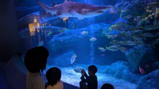 すみだ水族館へ行きました